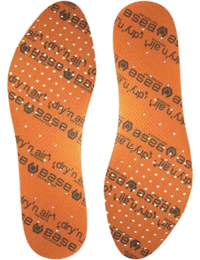 Insertii pentru incaltaminte de lucru Record Base Protection