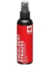 Engelbert Strauss spray do impregnacji obuwia multi Engelbert Strauss spray do impregnacji obuwia multi